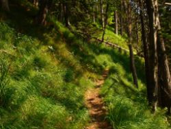 2013-07-13_Regina-F-Rau_Sonnenspitze3 (117).JPG
